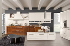 ergonomically-traditional-kitchen-sydney